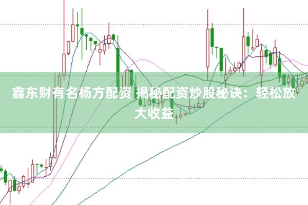 鑫东财有名杨方配资 揭秘配资炒股秘诀：轻松放大收益