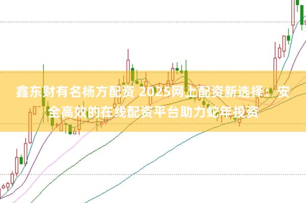 鑫东财有名杨方配资 2025网上配资新选择：安全高效的在线配资平台助力蛇年投资