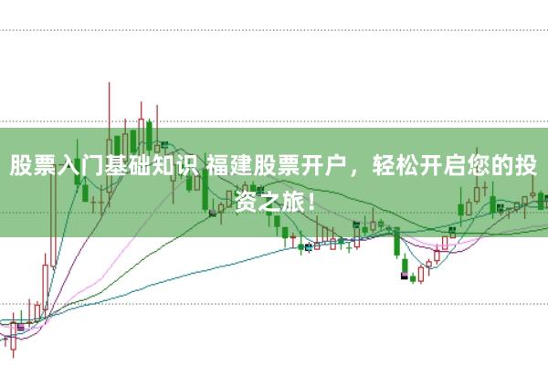 股票入门基础知识 福建股票开户，轻松开启您的投资之旅！