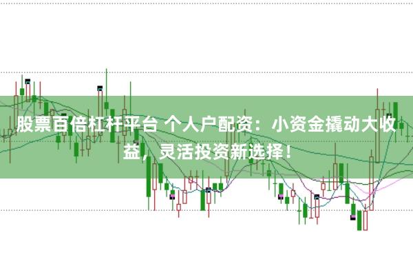 股票百倍杠杆平台 个人户配资：小资金撬动大收益，灵活投资新选择！