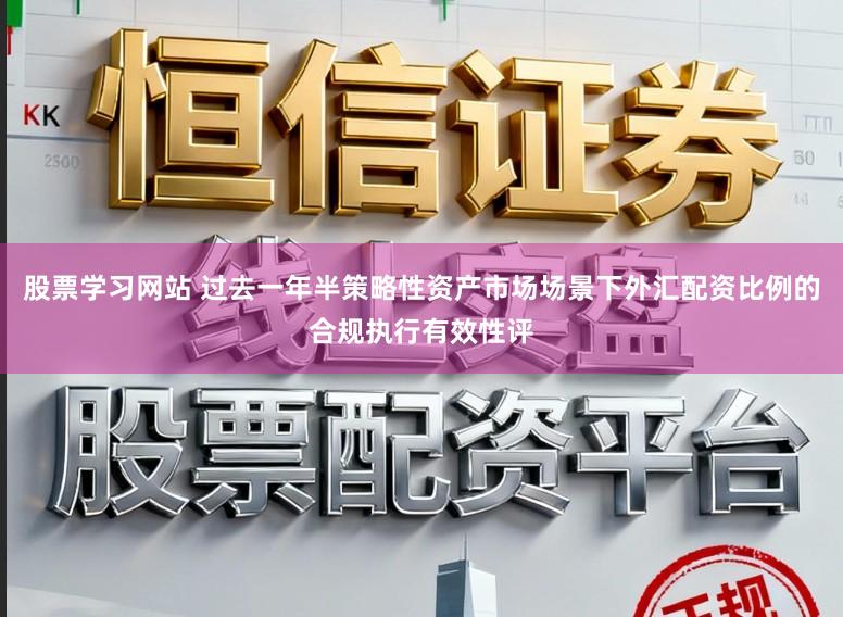 股票学习网站 过去一年半策略性资产市场场景下外汇配资比例的合规执行有效性评