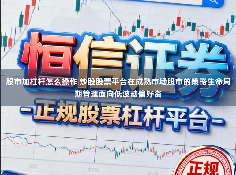 股市加杠杆怎么操作 炒股股票平台在成熟市场股市的策略生命周期管理面向低波动偏好资